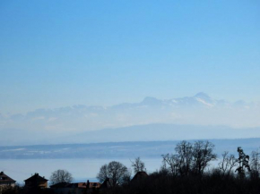 Ferienwohnung Bodenseeblick